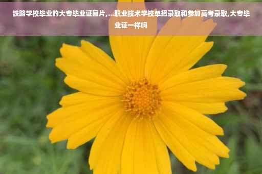 铁路学校毕业的大专毕业证图片,...职业技术学校单招录取和参加高考录取,大专毕业证一样吗