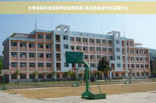 大学本科毕业证和学位证的区别,本科毕业证学位证是什么