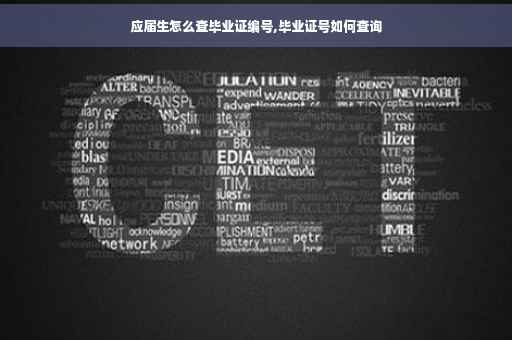 应届生怎么查毕业证编号,毕业证号如何查询
