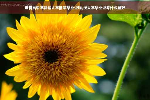 没有高中学籍读大学能拿毕业证吗,没大学毕业证考什么证好