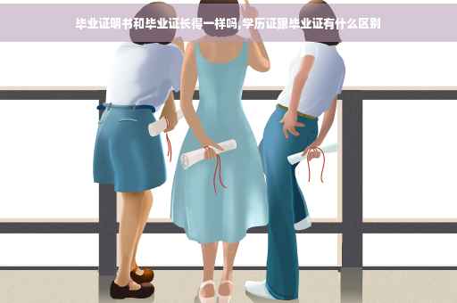 毕业证明书和毕业证长得一样吗,学历证跟毕业证有什么区别