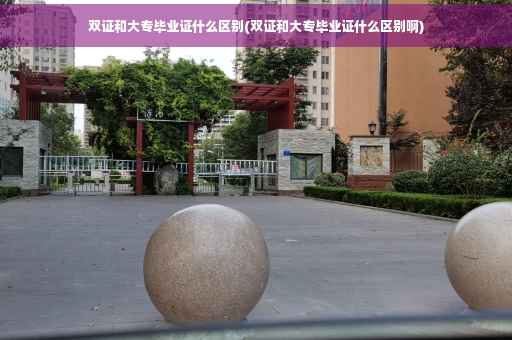 双证和大专毕业证什么区别(双证和大专毕业证什么区别啊)