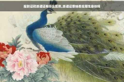 报到证和派遣证有什么区别,派遣证意味着应届生身份吗