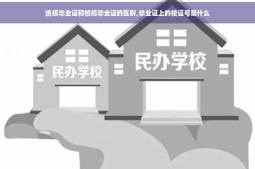 统招毕业证和校招毕业证的区别,毕业证上的校证号是什么
