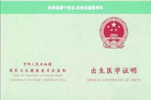 纹绣是哪个类目,纹绣证需要考吗