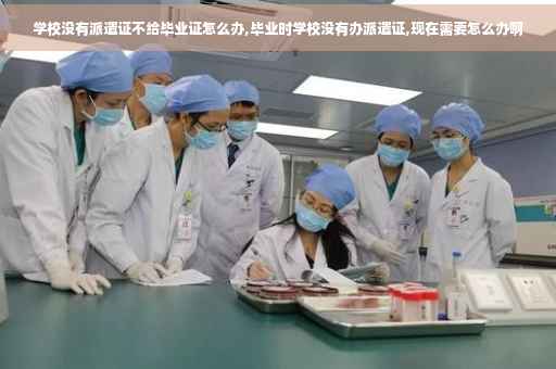 学校没有派遣证不给毕业证怎么办,毕业时学校没有办派遣证,现在需要怎么办啊