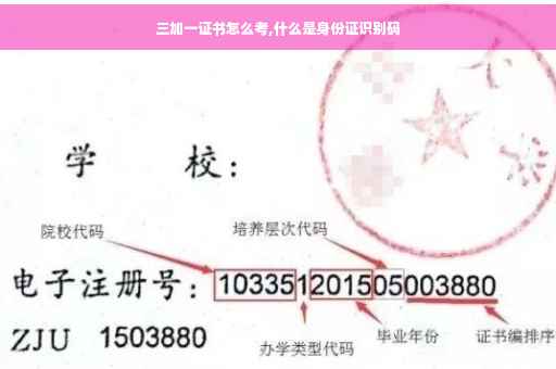 三加一证书怎么考,什么是身份证识别码