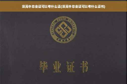 没高中毕业证可以考什么证(没高中毕业证可以考什么证书)