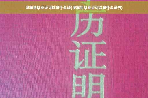 没拿到毕业证可以拿什么证(没拿到毕业证可以拿什么证书)