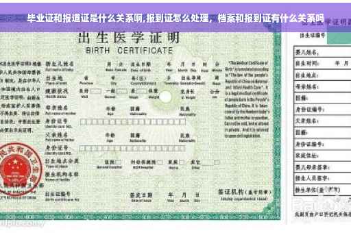 毕业证和报道证是什么关系啊,报到证怎么处理，档案和报到证有什么关系吗