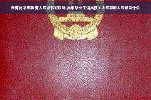 没有高中学籍 有大专证书可以吗,高中毕业生读高技＋大专拿的大专证是什么