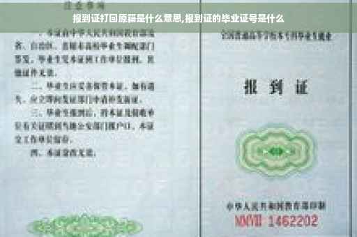 报到证打回原籍是什么意思,报到证的毕业证号是什么