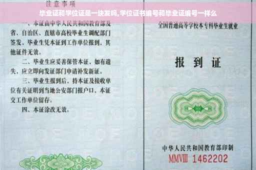 毕业证和学位证是一块发吗,学位证书编号和毕业证编号一样么