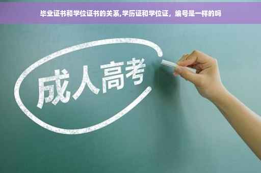 毕业证书和学位证书的关系,学历证和学位证，编号是一样的吗