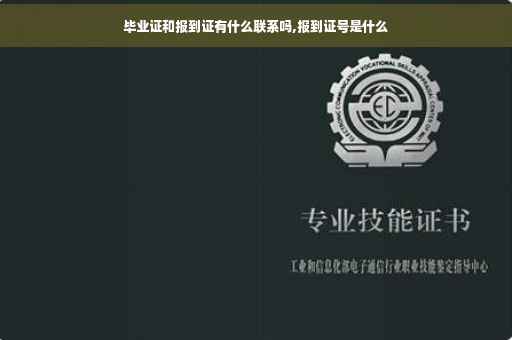 毕业证和报到证有什么联系吗,报到证号是什么