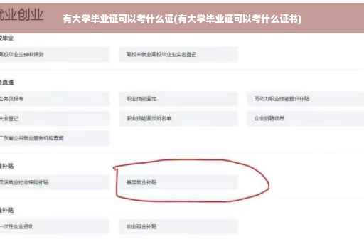 有大学毕业证可以考什么证(有大学毕业证可以考什么证书)