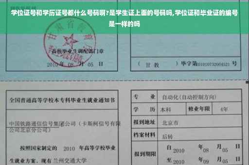 学位证号和学历证号都什么号码啊?是学生证上面的号码吗,学位证和毕业证的编号是一样的吗