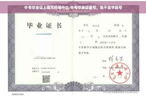 中专毕业证上面写的是什么,中专毕业证编号，是不是学籍号