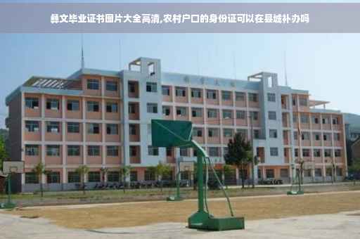 彝文毕业证书图片大全高清,农村户口的身份证可以在县城补办吗