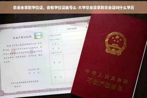 毕业未拿到学位证，会有学位证编号么-大学毕业没拿到毕业证叫什么学历