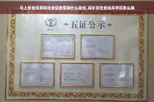 马上毕业没拿到毕业证参军填什么身份,高中没毕业当兵学历怎么填