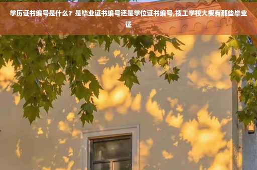 学历证书编号是什么？是毕业证书编号还是学位证书编号,技工学校大概有那些毕业证