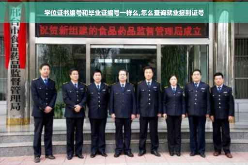 学位证书编号和毕业证编号一样么,怎么查询就业报到证号