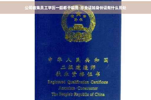 公司收集员工学历一般都干嘛用-毕业证加身份证有什么用处