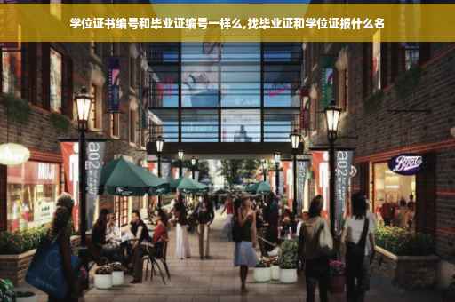 学位证书编号和毕业证编号一样么,找毕业证和学位证报什么名