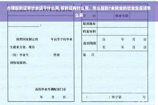 办理报到证拿毕业证干什么用,报到证有什么用，怎么报到?未就业的毕业生应该怎么弄