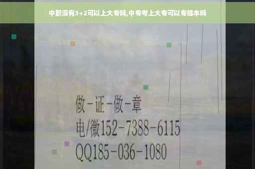 中职没有3+2可以上大专吗,中专考上大专可以专插本吗