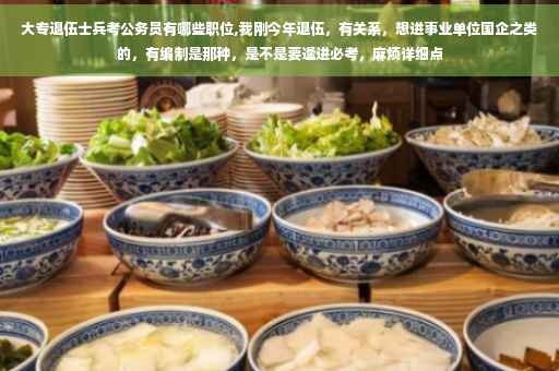 大专退伍士兵考公务员有哪些职位,我刚今年退伍，有关系，想进事业单位国企之类的，有编制是那种，是不是要逢进必考，麻烦详细点