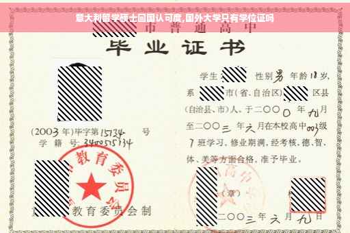 意大利留学硕士回国认可度,国外大学只有学位证吗