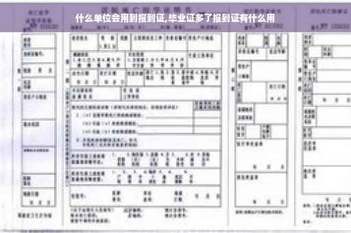什么单位会用到报到证,毕业证多了报到证有什么用