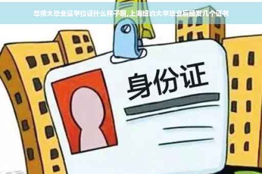 华师大毕业证学位证什么样子啊,上海纽约大学毕业后颁发几个证书