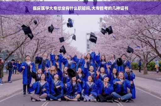 临床医学大专毕业有什么职称吗,大专能考的几种证书