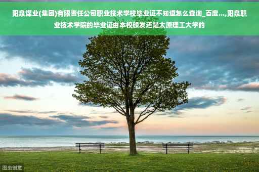 阳泉煤业(集团)有限责任公司职业技术学校毕业证不知道怎么查询_百度...,阳泉职业技术学院的毕业证由本校颁发还是太原理工大学的