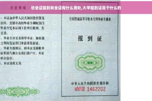 毕业证报到就业证有什么用处,大学报到证是干什么的