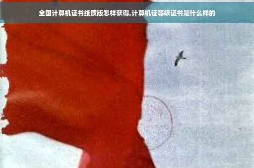 全国计算机证书纸质版怎样获得,计算机证等级证书是什么样的