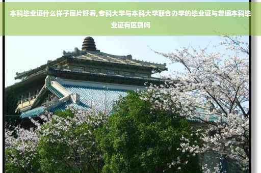 本科毕业证什么样子图片好看,专科大学与本科大学联合办学的毕业证与普通本科毕业证有区别吗