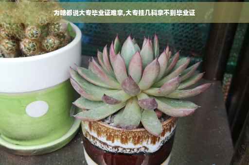 为啥都说大专毕业证难拿,大专挂几科拿不到毕业证