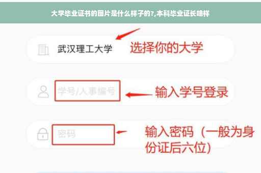 大学毕业证书的图片是什么样子的?,本科毕业证长啥样