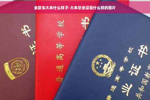 全款车大本什么样子-大本毕业证是什么样的图片
