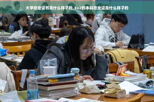 大学毕业证书是什么样子的,3+2的本科毕业证是什么样子的