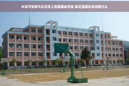 从实习生转为正式员工需要哪些手续,转正需要毕业证做什么