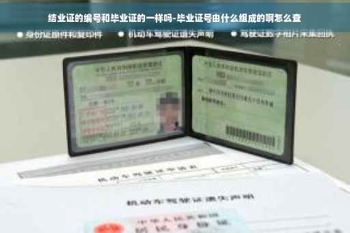 结业证的编号和毕业证的一样吗-毕业证号由什么组成的啊怎么查