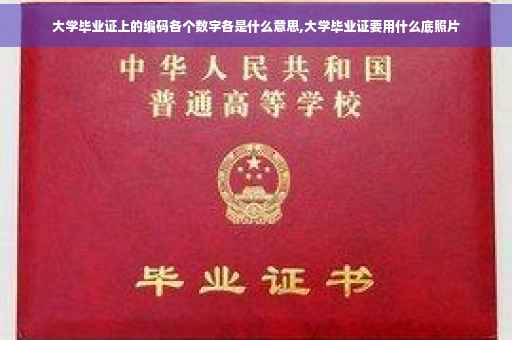 大学毕业证上的编码各个数字各是什么意思,大学毕业证要用什么底照片