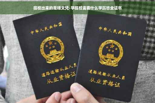 技校出来的是啥文凭-学技校需要什么学历毕业证书