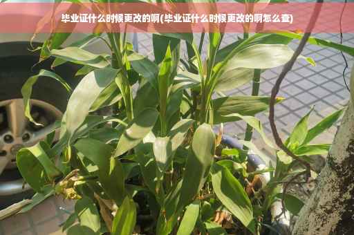毕业证什么时候更改的啊(毕业证什么时候更改的啊怎么查)