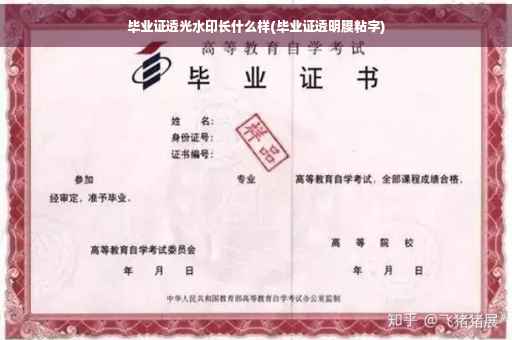 毕业证透光水印长什么样(毕业证透明膜粘字)